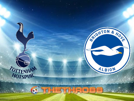 Soi kèo nhà cái Tottenham Hotspur vs Brighton Albion – 02h15 – 02/11/2020