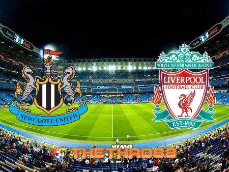 Soi kèo nhà cái Newcastle vs Liverpool – 03h00 – 31/12/2020