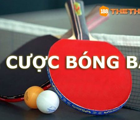 Cá cược bóng bàn – Luật chơi và các loại cược bóng bàn