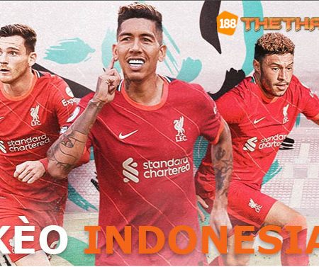 Tỷ lệ cược Indonesia là gì? Các cách tính tiền thắng thua trong kèo Indo