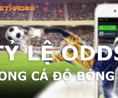 Những điều cần biết về tỷ lệ Odds trong cá độ bóng đá