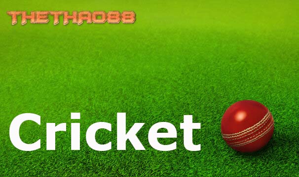 Tìm hiểu cách chơi cá cược Cricket hiệu quả hiện nay - 188BET