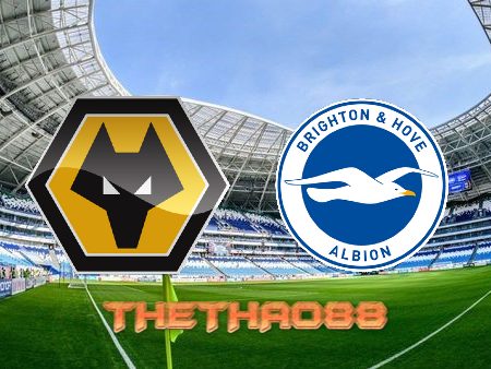 Soi kèo Wolves vs Brighton – 22h00 – 05/11/2022