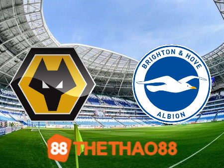 Soi kèo Wolves vs Brighton – 21h00 – 19/08/2023