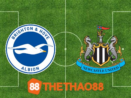 Soi kèo Brighton vs Newcastle – 23h30 – 02/09/2023