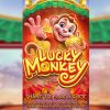 Lucky Monkey – Cách chơi slot Khỉ may mắn tại nhà cái