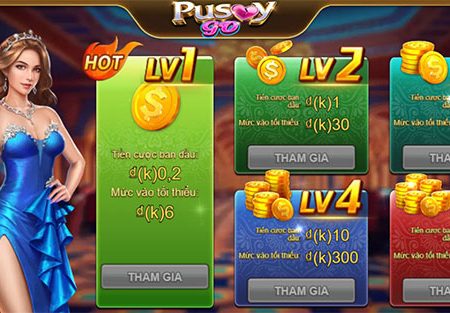 Hướng dẫn chi tiết cách chơi game bài Pusoy Go 